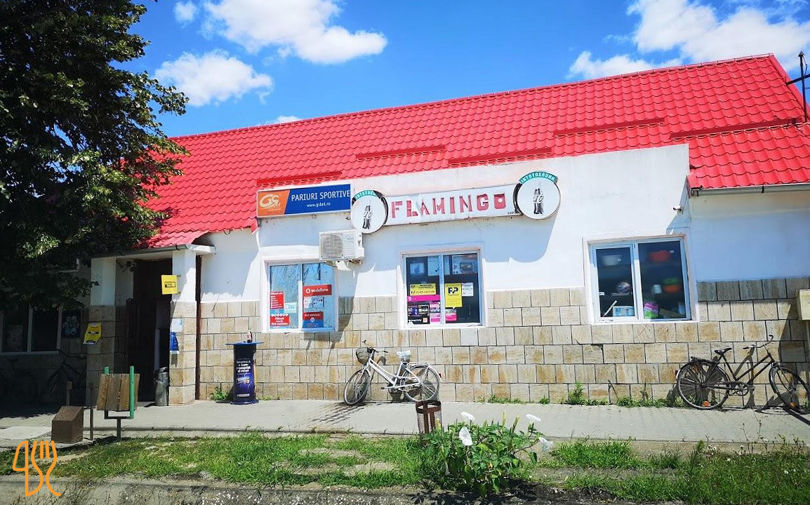 Flamingo Denta Exterior