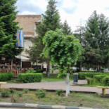 Cavoo Hot Tasty Extérieur