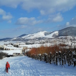 Crama De Sub Vii Extérieur