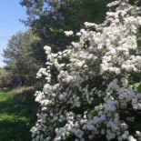 Artha Park Extérieur