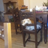 Șleaul Mândrului Dentro