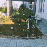 Dalex Resort Exterior