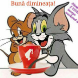 Co-k Pizza Place Carta