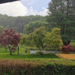 Rustiq Garden Exterior