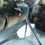 Terasa Pescarilor Comida