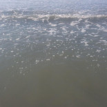 Terasa Pescarilor Carta