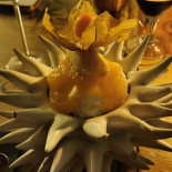 Dionis Love For Wine Nourriture