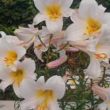 Casa Artemis Exterior