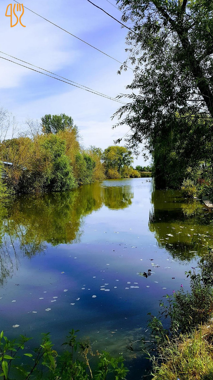 Popas Pescăruș La Târtanu ' Exterior