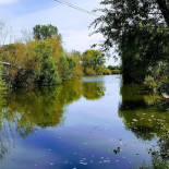 Popas Pescăruș La Târtanu ' Exterior