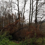 Pensiunea Izvor Extérieur