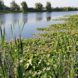 Turnul Soarelui Exterior