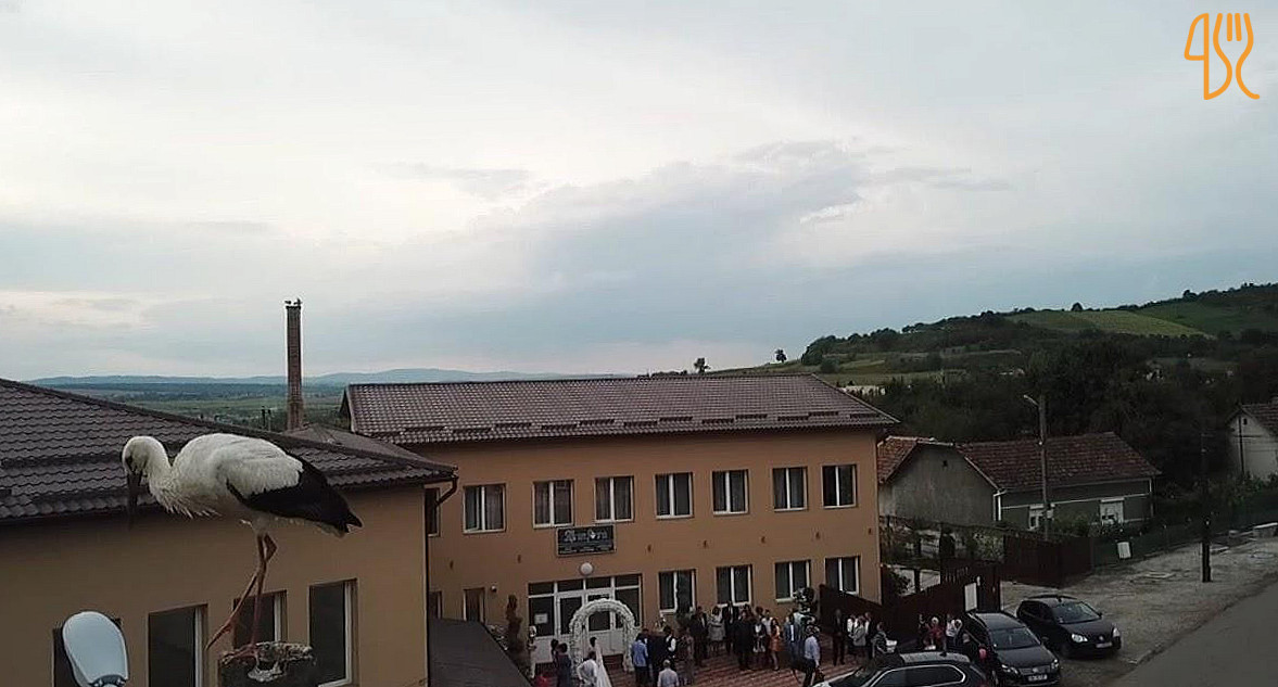 Amfora Sala Evenimente Exterior