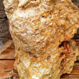 .delfinul Nourriture