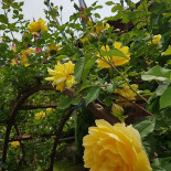 La Parmac Extérieur