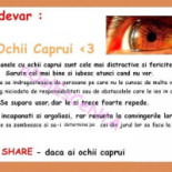 Pensiunea Regal Carta