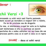 Pensiunea Regal Carta