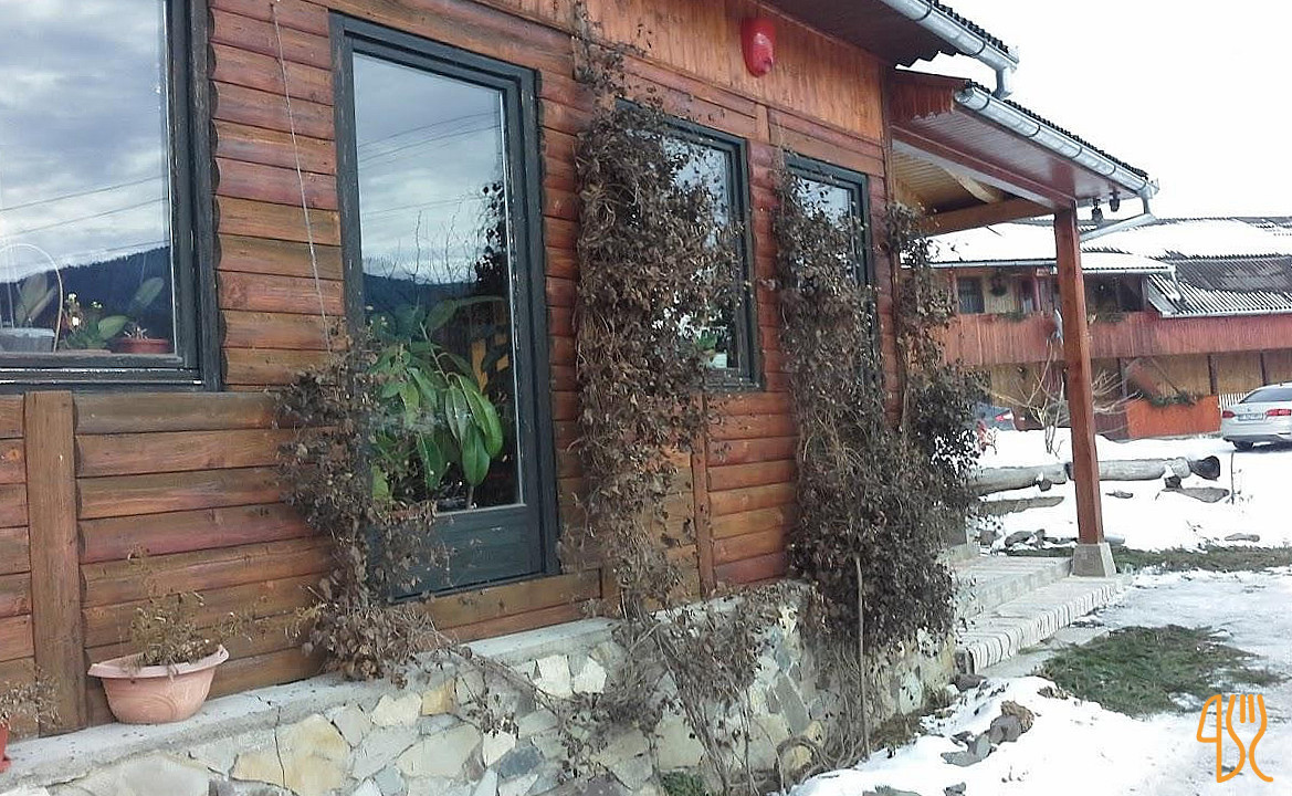 Ariniș Exterior