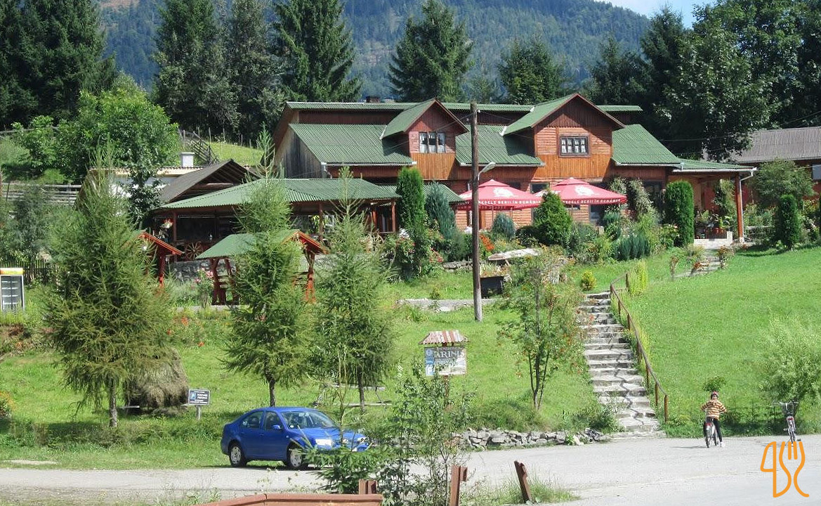 Ariniș Exterior