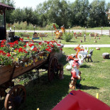 Păstrăvăria Crăcăoani Exterior