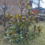 Liberty Bowling Extérieur