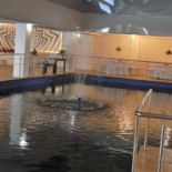 Imperial Evenimente Dentro