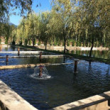 Pensiunea Rustic Extérieur