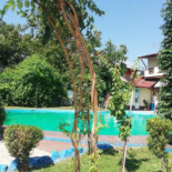 Motanul Galanton Exterior