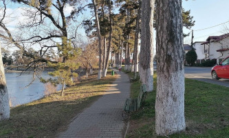 Calul Balan S.a. Exterior