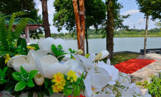 Calul Balan S.a. Exterior