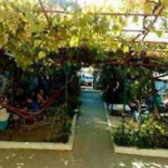 Festival 39 Exterior