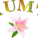 Viva Logo
