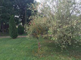 Ancora Salonta Exterior