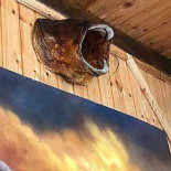 Pescarul Tavi Nourriture