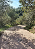 Complex Aqua Max Exterior