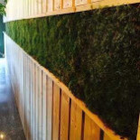 Lovegan Bistro Exterior