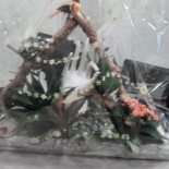 Taverna Transilvania Boisson