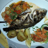 Beluga Cibo