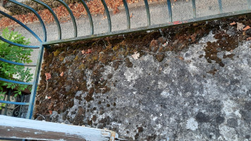 Althaus outside