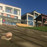 Roser House Exterior