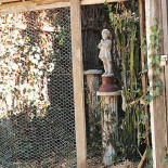 Restaurant Queen Boisson