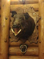 Hunter Castle Dentro