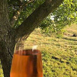 Restaurant nabucco Extérieur