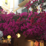 Hanul Dacilor Exterior