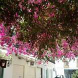 Hanul Dacilor Exterior