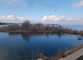 On Plonge Jr. Extérieur