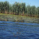 Laguna Albastra Exterior