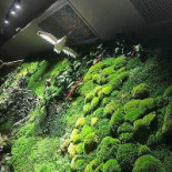 Pio Bistro Extérieur