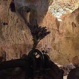 Vacamuuu À l'intérieur