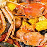 Silk Panoramic Nourriture